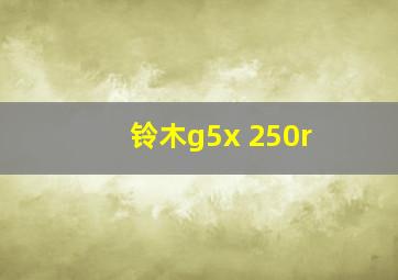 铃木g5x 250r